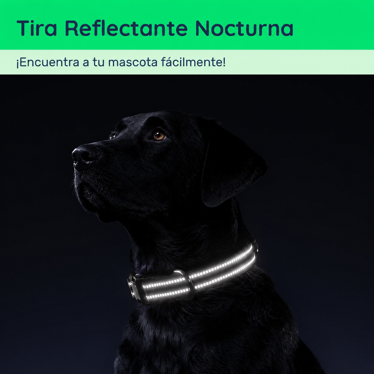 Collar GPS AirTag Impermeable para Mascotas Reflectante y Ajustable